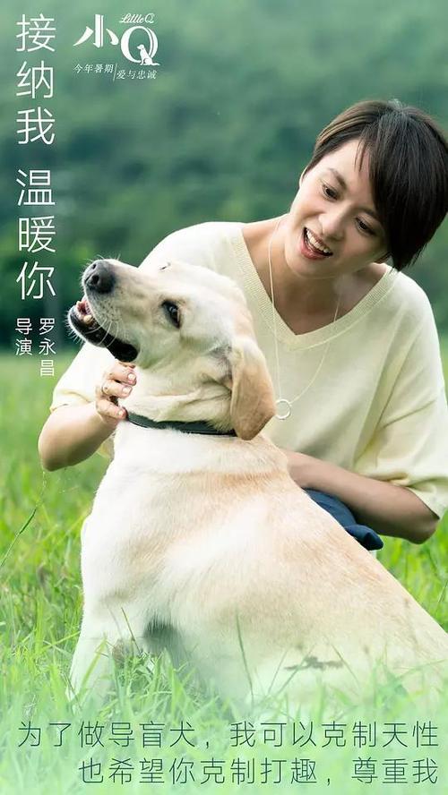 哪里可以办曼彻斯特城市学院毕业证